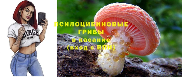 2c-b Абаза